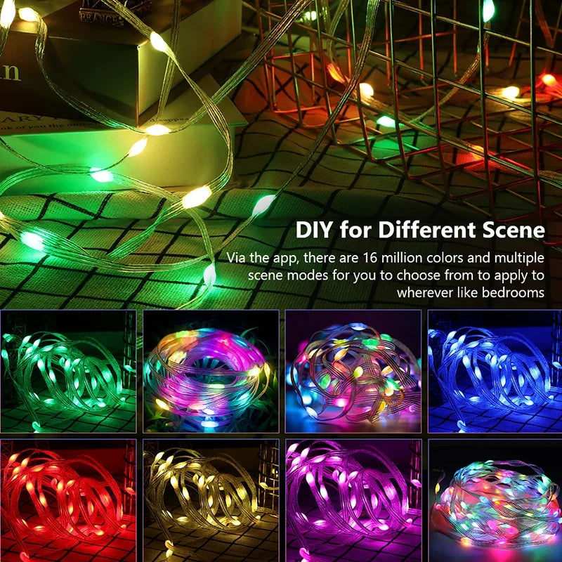 Dreamcolor Rgb Led Strip WS2812B Bluetooth Smart String Fairy Lights Christmas Garland Light Waterproof for Party Curtain Room