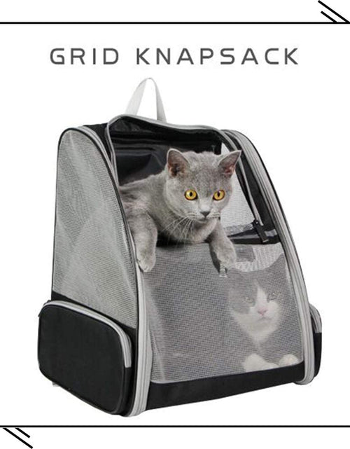 Load image into Gallery viewer, Pet Backpack Carrier for Small Cats Dogs | Ventilated Design, Safety Straps, Buckle Support, Collapsible | Designed for Travel, Hiking, Walking &amp; Outdoor Use
